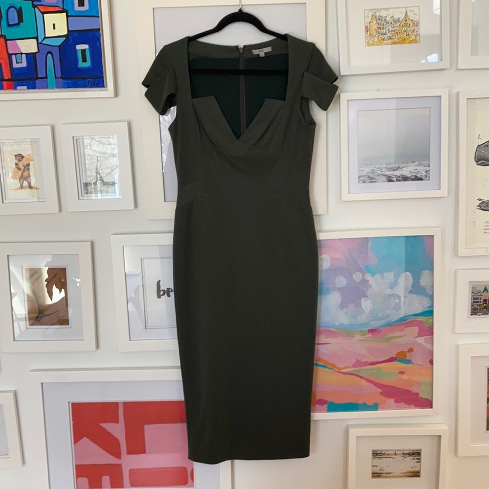 ZAC by ZAC POSEN Olive Fitted Dress With Notched Bust